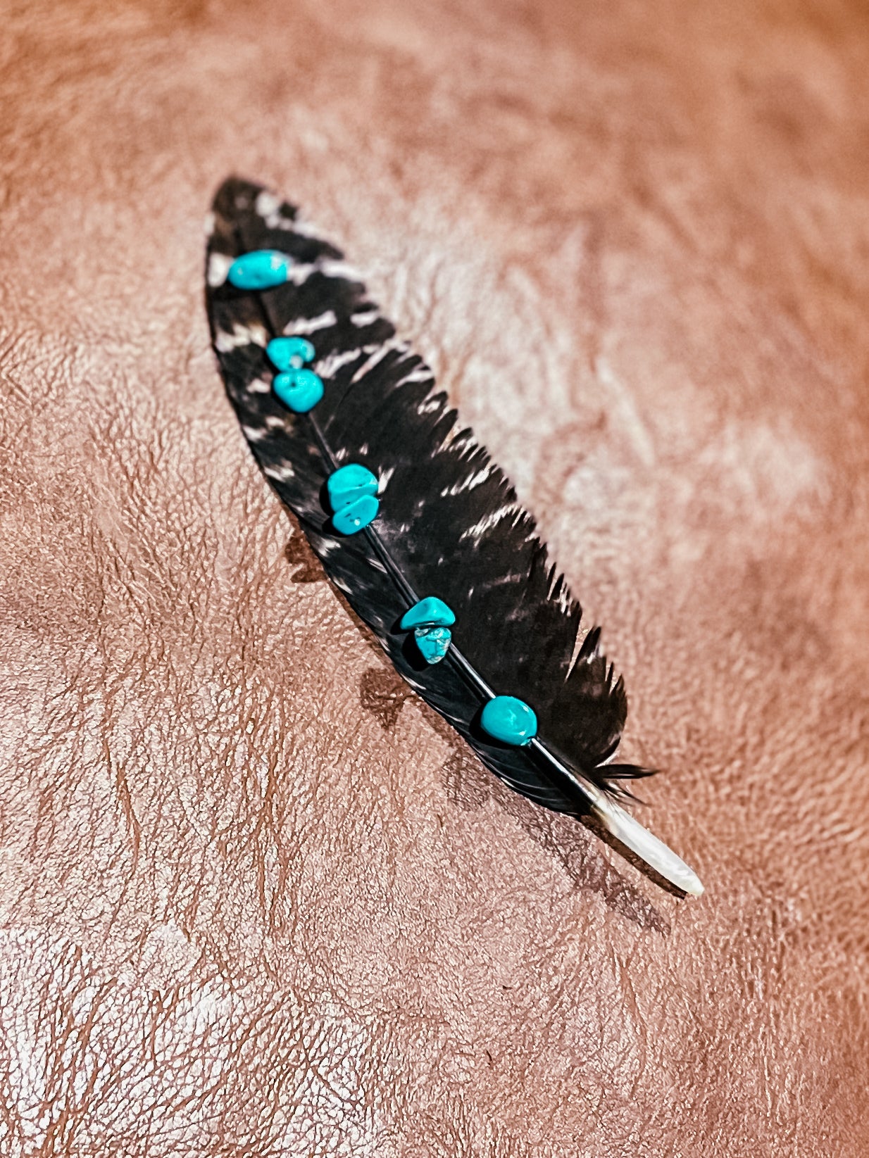 Turkey Wing Feathers
