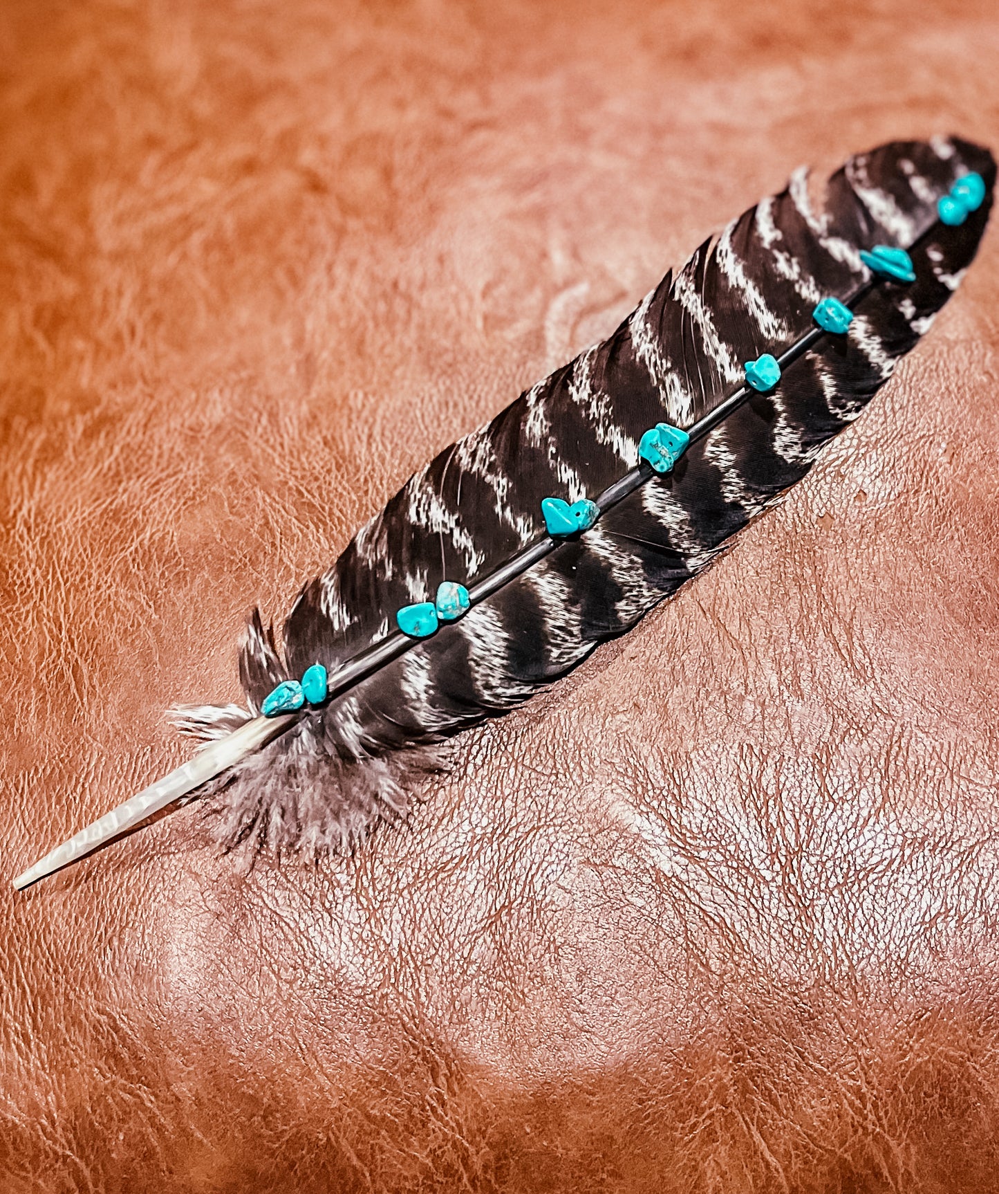 Turkey Wing Feathers